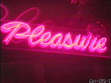 pleasure